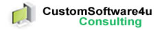 CustomSoftware4u.com Consulting Services Tampa